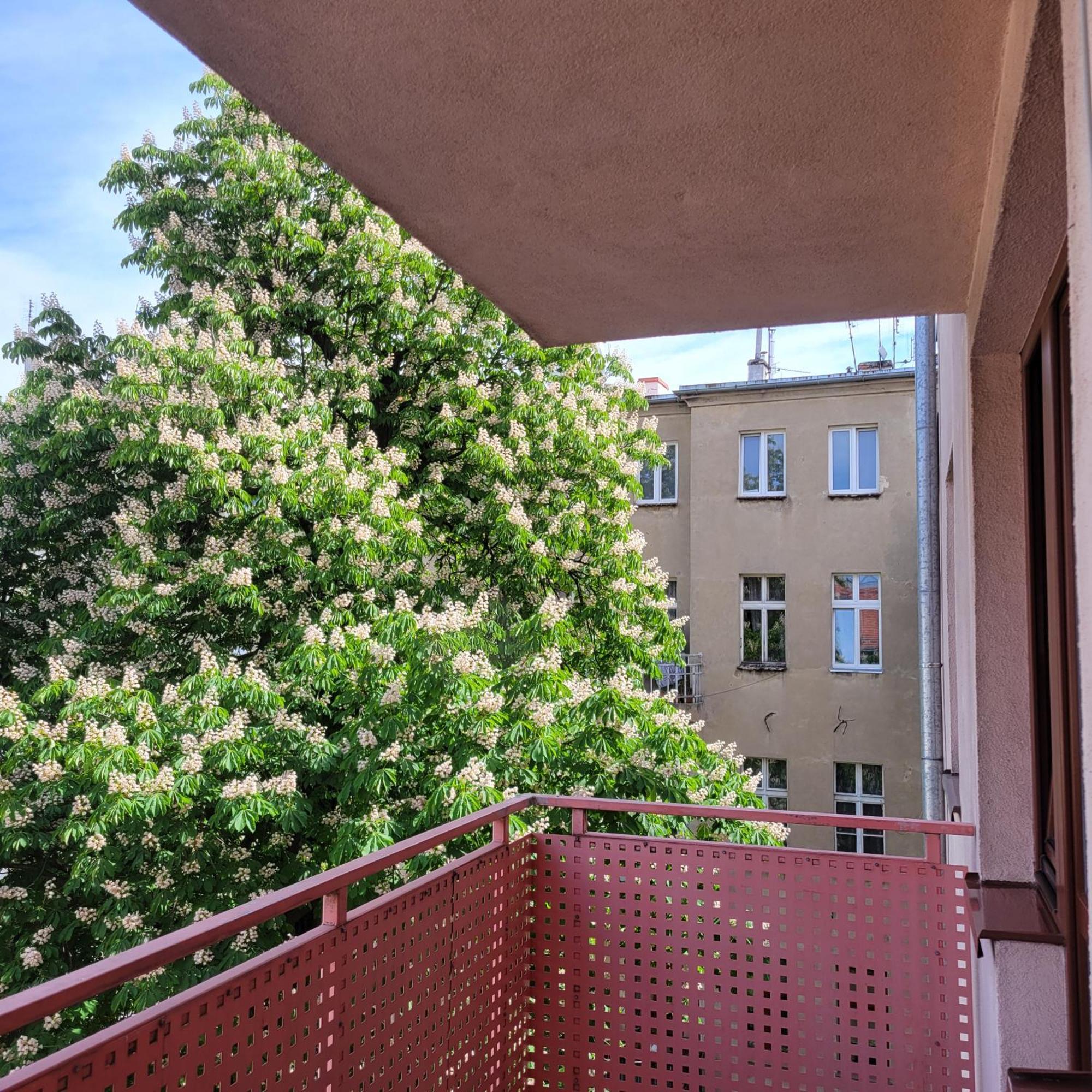 Aura Apartment Wrocław Extérieur photo